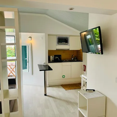 Apartment Milflores